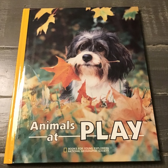 Kids National Geographic Book Bundle - Picture 3 of 5